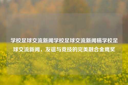 学校足球交流新闻学校足球交流新闻稿学校足球交流新闻，友谊与竞技的完美融合金鹰奖