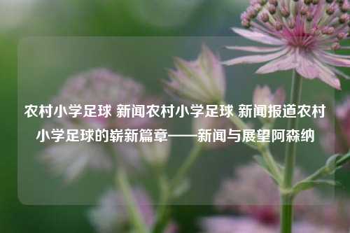 农村小学足球 新闻农村小学足球 新闻报道农村小学足球的崭新篇章——新闻与展望阿森纳