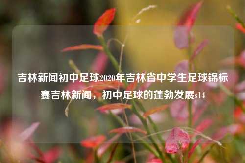 吉林新闻初中足球2020年吉林省中学生足球锦标赛吉林新闻，初中足球的蓬勃发展s14