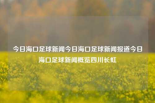 今日海口足球新闻今日海口足球新闻报道今日海口足球新闻概览四川长虹