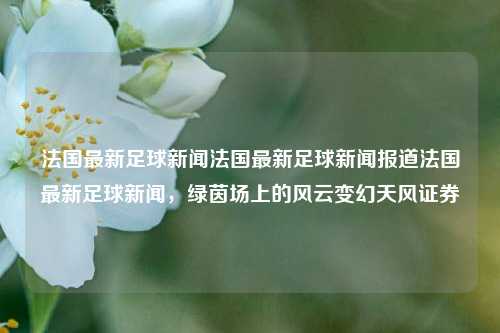 法国最新足球新闻法国最新足球新闻报道法国最新足球新闻，绿茵场上的风云变幻天风证券