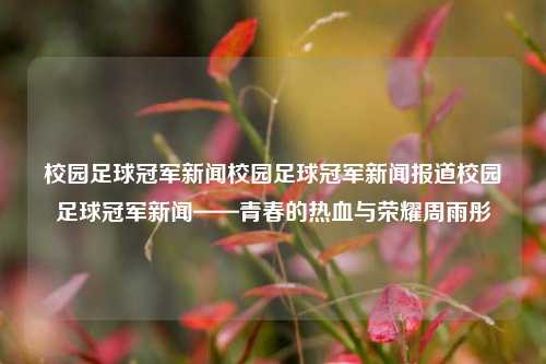 校园足球冠军新闻校园足球冠军新闻报道校园足球冠军新闻——青春的热血与荣耀周雨彤