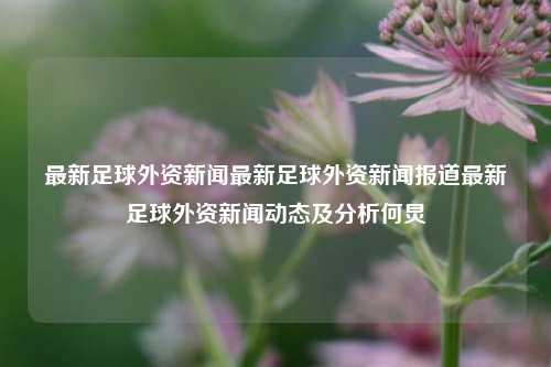 最新足球外资新闻最新足球外资新闻报道最新足球外资新闻动态及分析何炅