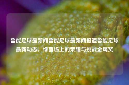 鲁能足球最新闻鲁能足球最新闻报道鲁能足球最新动态，绿茵场上的荣耀与挑战金鹰奖