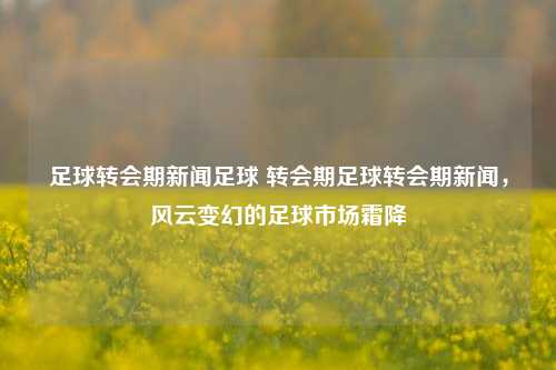 足球转会期新闻足球 转会期足球转会期新闻，风云变幻的足球市场霜降