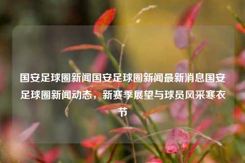 国安足球圈新闻国安足球圈新闻最新消息国安足球圈新闻动态，新赛季展望与球员风采寒衣节