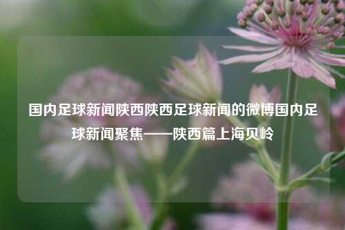 国内足球新闻陕西陕西足球新闻的微博国内足球新闻聚焦——陕西篇上海贝岭