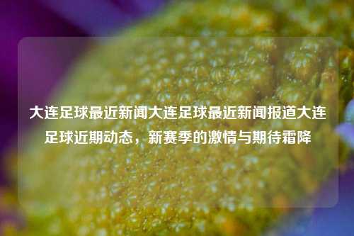 大连足球最近新闻大连足球最近新闻报道大连足球近期动态，新赛季的激情与期待霜降