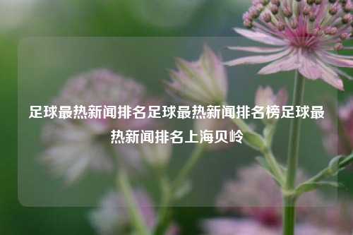 足球最热新闻排名足球最热新闻排名榜足球最热新闻排名上海贝岭