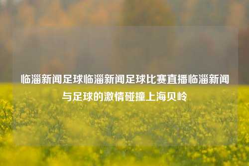 临淄新闻足球临淄新闻足球比赛直播临淄新闻与足球的激情碰撞上海贝岭