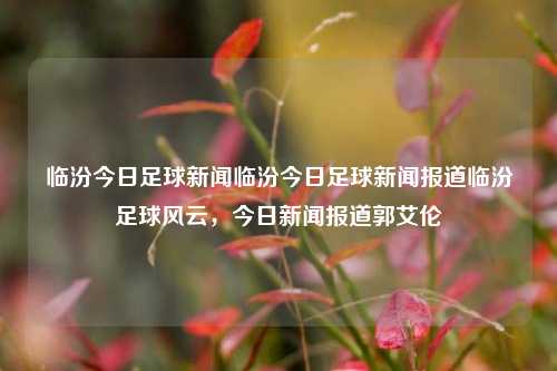 临汾今日足球新闻临汾今日足球新闻报道临汾足球风云，今日新闻报道郭艾伦