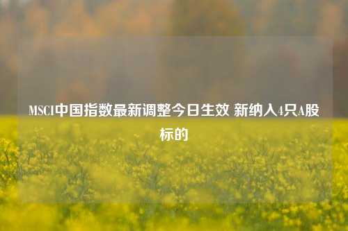 MSCI中国指数最新调整今日生效 新纳入4只A股标的