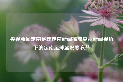 央视新闻定南足球定南新闻播放央视新闻视角下的定南足球盛况寒衣节