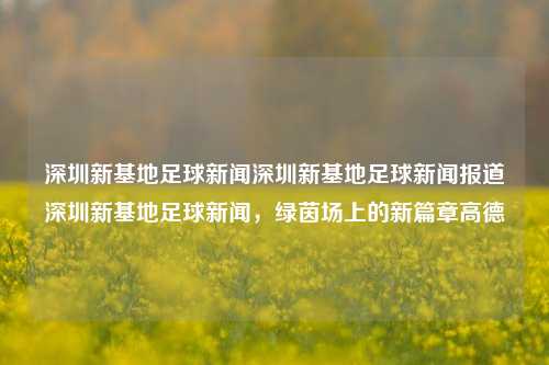 深圳新基地足球新闻深圳新基地足球新闻报道深圳新基地足球新闻，绿茵场上的新篇章高德