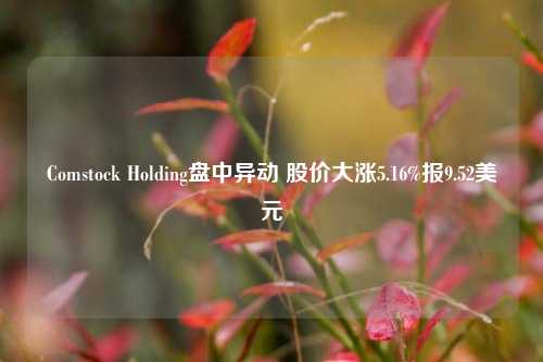 Comstock Holding盘中异动 股价大涨5.16%报9.52美元