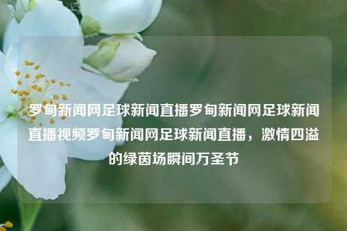 罗甸新闻网足球新闻直播罗甸新闻网足球新闻直播视频罗甸新闻网足球新闻直播，激情四溢的绿茵场瞬间万圣节