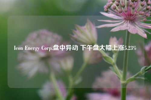 Icon Energy Corp.盘中异动 下午盘大幅上涨5.23%