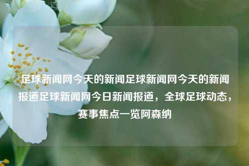 足球新闻网今天的新闻足球新闻网今天的新闻报道足球新闻网今日新闻报道，全球足球动态，赛事焦点一览阿森纳