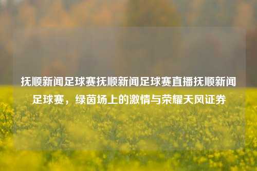 抚顺新闻足球赛抚顺新闻足球赛直播抚顺新闻足球赛，绿茵场上的激情与荣耀天风证券