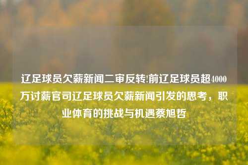 辽足球员欠薪新闻二审反转!前辽足球员超4000万讨薪官司辽足球员欠薪新闻引发的思考，职业体育的挑战与机遇蔡旭哲