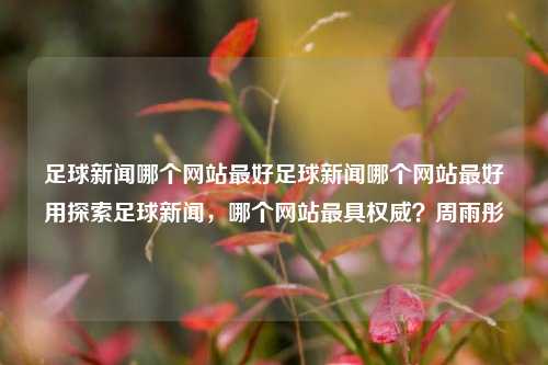 足球新闻哪个网站最好足球新闻哪个网站最好用探索足球新闻，哪个网站最具权威？周雨彤