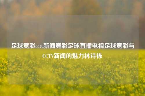 足球竞彩cctv新闻竞彩足球直播电视足球竞彩与CCTV新闻的魅力林诗栋