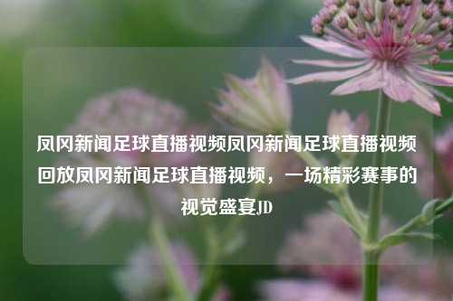 凤冈新闻足球直播视频凤冈新闻足球直播视频回放凤冈新闻足球直播视频，一场精彩赛事的视觉盛宴JD