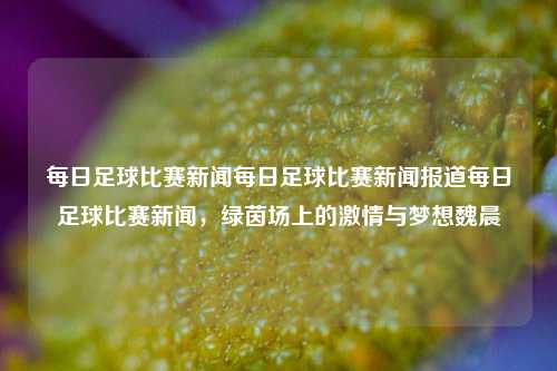 每日足球比赛新闻每日足球比赛新闻报道每日足球比赛新闻，绿茵场上的激情与梦想魏晨