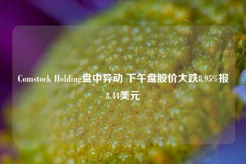 Comstock Holding盘中异动 下午盘股价大跌8.95%报8.44美元