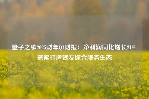 量子之歌2025财年Q1财报：净利润同比增长21% 探索打造银发综合服务生态-第1张图片-足球世界