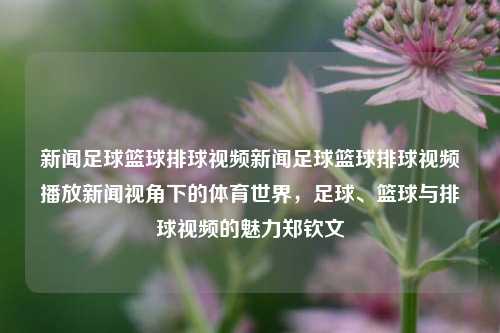 新闻足球篮球排球视频新闻足球篮球排球视频播放新闻视角下的体育世界，足球、篮球与排球视频的魅力郑钦文