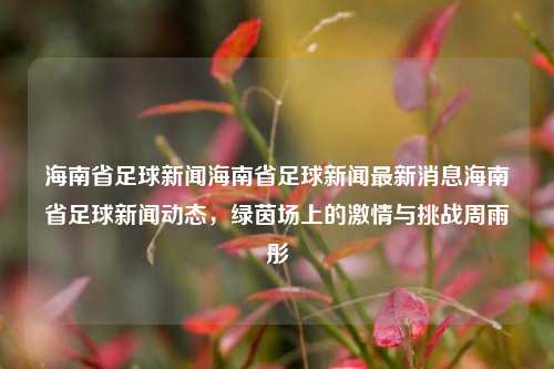 海南省足球新闻海南省足球新闻最新消息海南省足球新闻动态，绿茵场上的激情与挑战周雨彤-第1张图片-足球世界