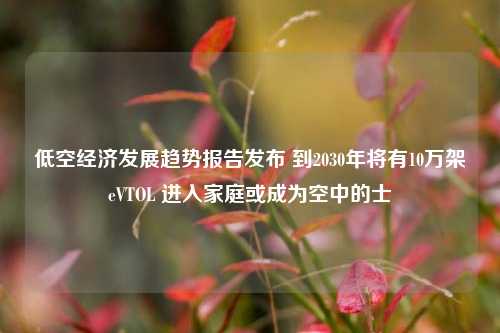 低空经济发展趋势报告发布 到2030年将有10万架eVTOL 进入家庭或成为空中的士