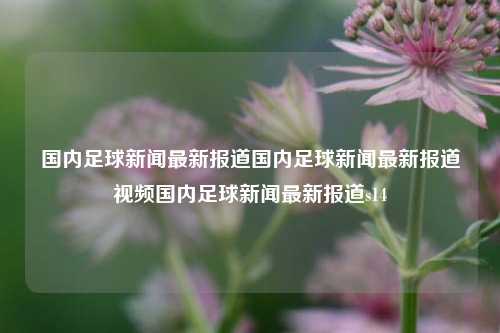 国内足球新闻最新报道国内足球新闻最新报道视频国内足球新闻最新报道s14-第1张图片-足球世界