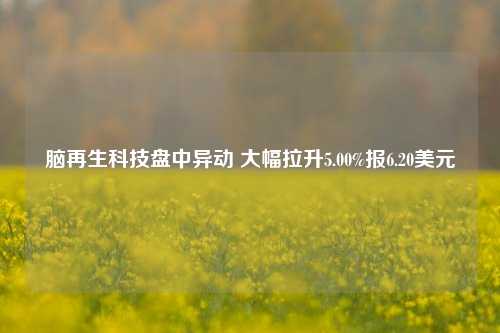 脑再生科技盘中异动 大幅拉升5.00%报6.20美元