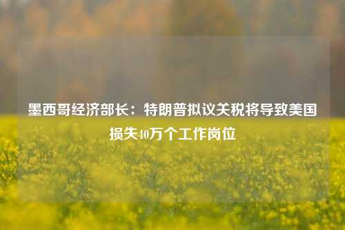 墨西哥经济部长：特朗普拟议关税将导致美国损失40万个工作岗位-第1张图片-足球世界