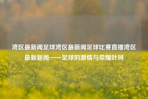 湾区最新闻足球湾区最新闻足球比赛直播湾区最新新闻——足球的激情与荣耀叶珂-第1张图片-足球世界