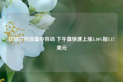 坎伯兰药业盘中异动 下午盘快速上涨5.40%报1.17美元-第1张图片-足球世界