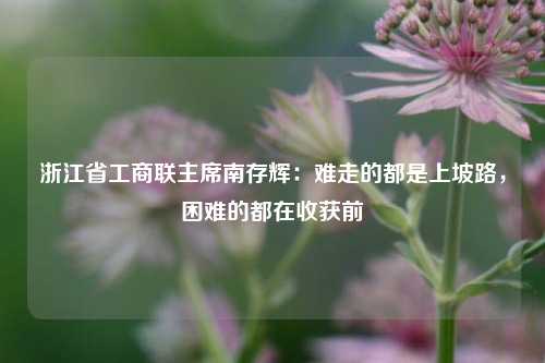 浙江省工商联主席南存辉：难走的都是上坡路，困难的都在收获前-第1张图片-足球世界