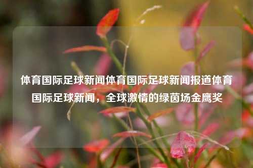 体育国际足球新闻体育国际足球新闻报道体育国际足球新闻，全球激情的绿茵场金鹰奖-第1张图片-足球世界