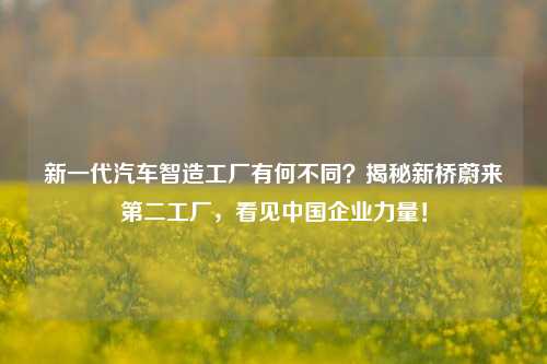 新一代汽车智造工厂有何不同？揭秘新桥蔚来第二工厂，看见中国企业力量！-第1张图片-足球世界