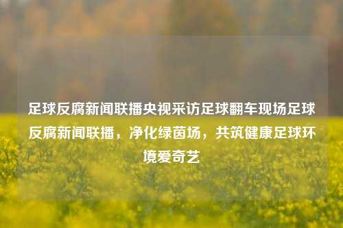 足球反腐新闻联播央视采访足球翻车现场足球反腐新闻联播，净化绿茵场，共筑健康足球环境爱奇艺-第1张图片-足球世界