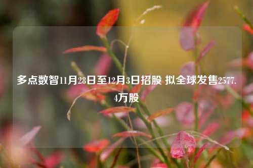 多点数智11月28日至12月3日招股 拟全球发售2577.4万股-第1张图片-足球世界