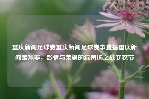 重庆新闻足球赛重庆新闻足球赛事直播重庆新闻足球赛，激情与荣耀的绿茵场之战寒衣节-第1张图片-足球世界