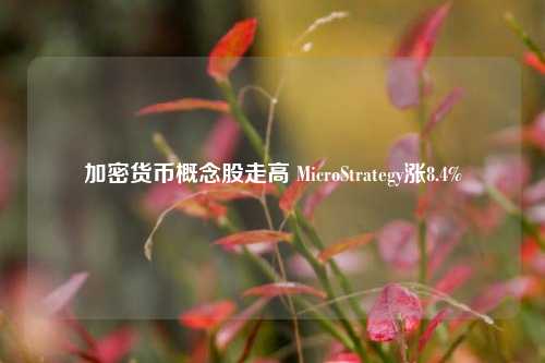 加密货币概念股走高 MicroStrategy涨8.4%-第1张图片-足球世界