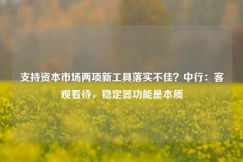 支持资本市场两项新工具落实不佳？中行：客观看待，稳定器功能是本质-第1张图片-足球世界