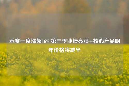 禾赛一度涨超16% 第三季业绩亮眼+核心产品明年价格将减半-第1张图片-足球世界