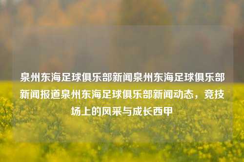 泉州东海足球俱乐部新闻泉州东海足球俱乐部新闻报道泉州东海足球俱乐部新闻动态，竞技场上的风采与成长西甲-第1张图片-足球世界