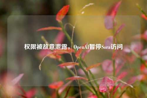 权限被故意泄露，OpenAI暂停Sora访问-第1张图片-足球世界