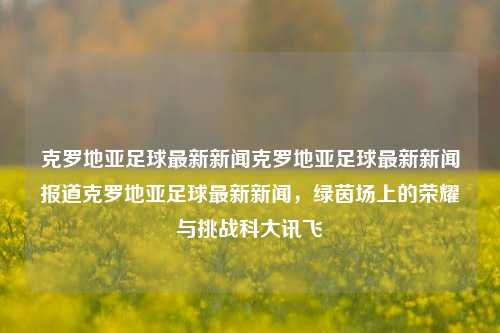 克罗地亚足球最新新闻克罗地亚足球最新新闻报道克罗地亚足球最新新闻，绿茵场上的荣耀与挑战科大讯飞-第1张图片-足球世界